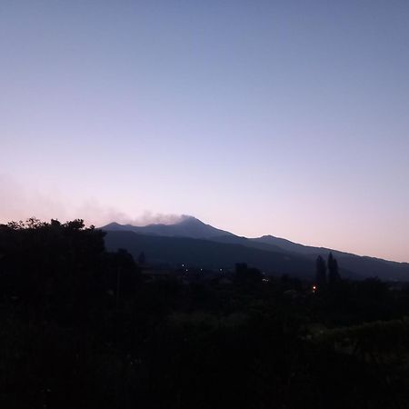 Etna Green House Villa Zafferana Etnea Dış mekan fotoğraf