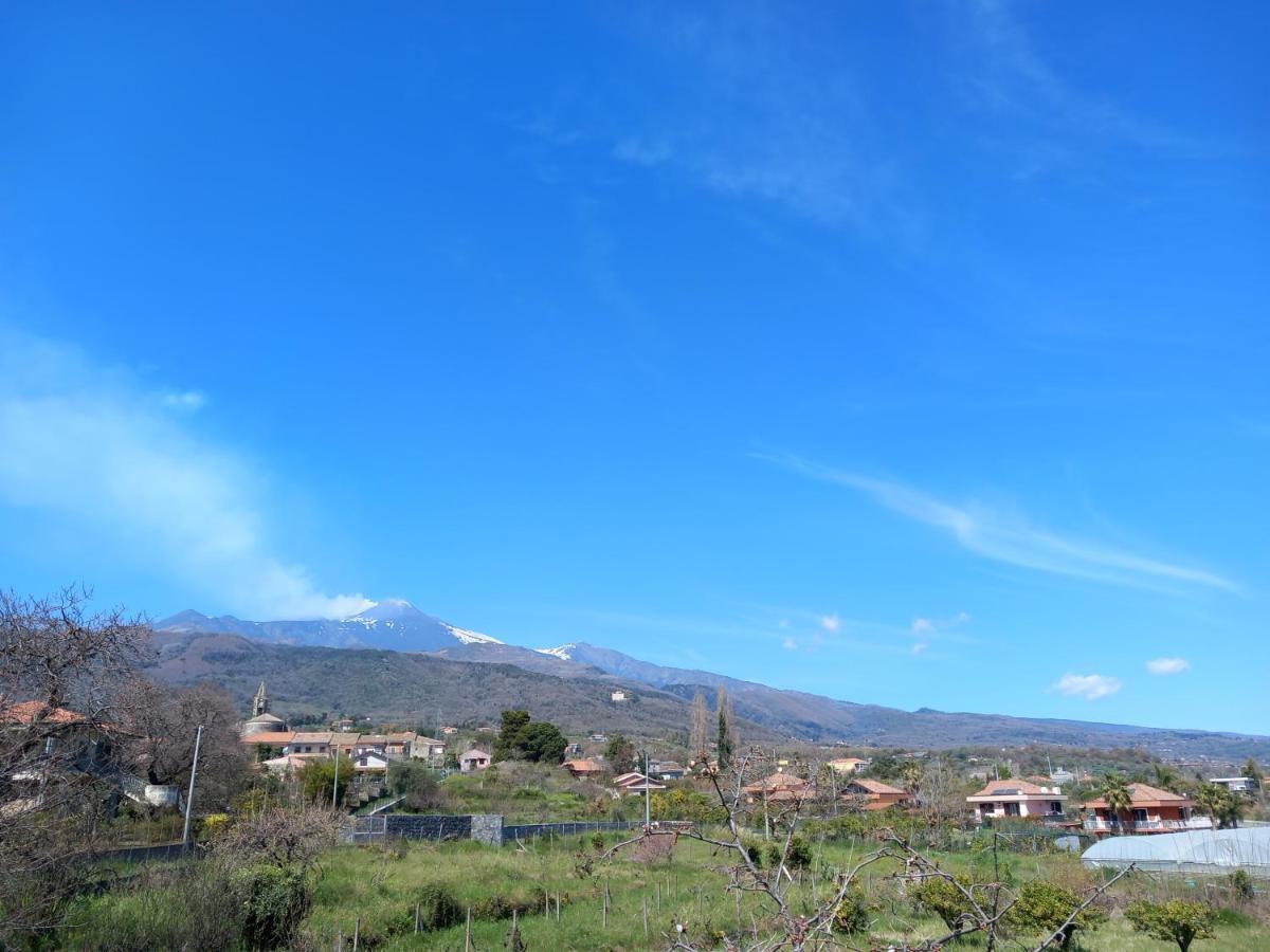 Etna Green House Villa Zafferana Etnea Dış mekan fotoğraf