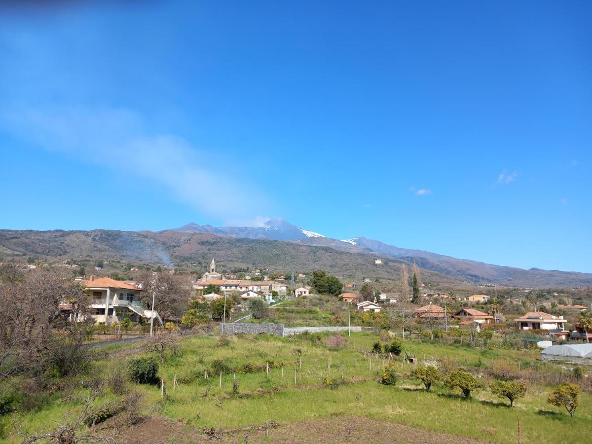 Etna Green House Villa Zafferana Etnea Dış mekan fotoğraf