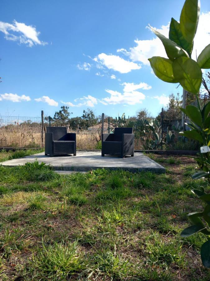 Etna Green House Villa Zafferana Etnea Dış mekan fotoğraf