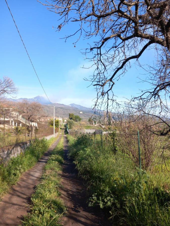 Etna Green House Villa Zafferana Etnea Dış mekan fotoğraf