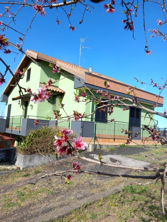 Etna Green House Villa Zafferana Etnea Dış mekan fotoğraf
