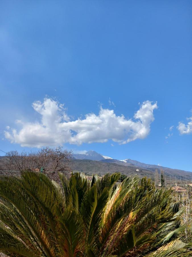 Etna Green House Villa Zafferana Etnea Dış mekan fotoğraf