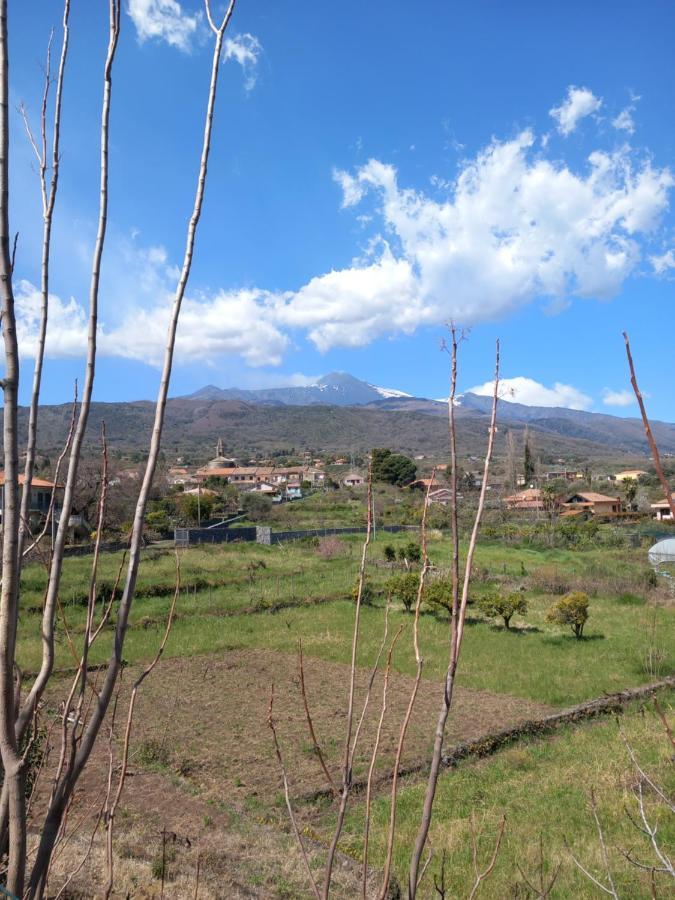 Etna Green House Villa Zafferana Etnea Dış mekan fotoğraf