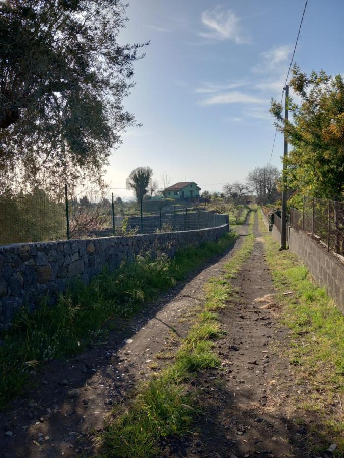Etna Green House Villa Zafferana Etnea Dış mekan fotoğraf