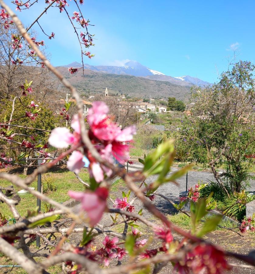 Etna Green House Villa Zafferana Etnea Dış mekan fotoğraf
