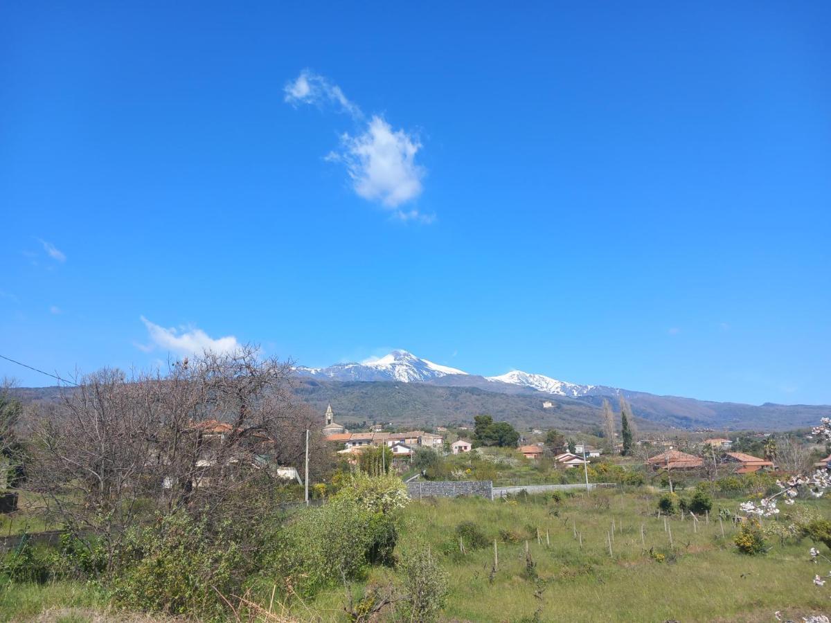 Etna Green House Villa Zafferana Etnea Dış mekan fotoğraf