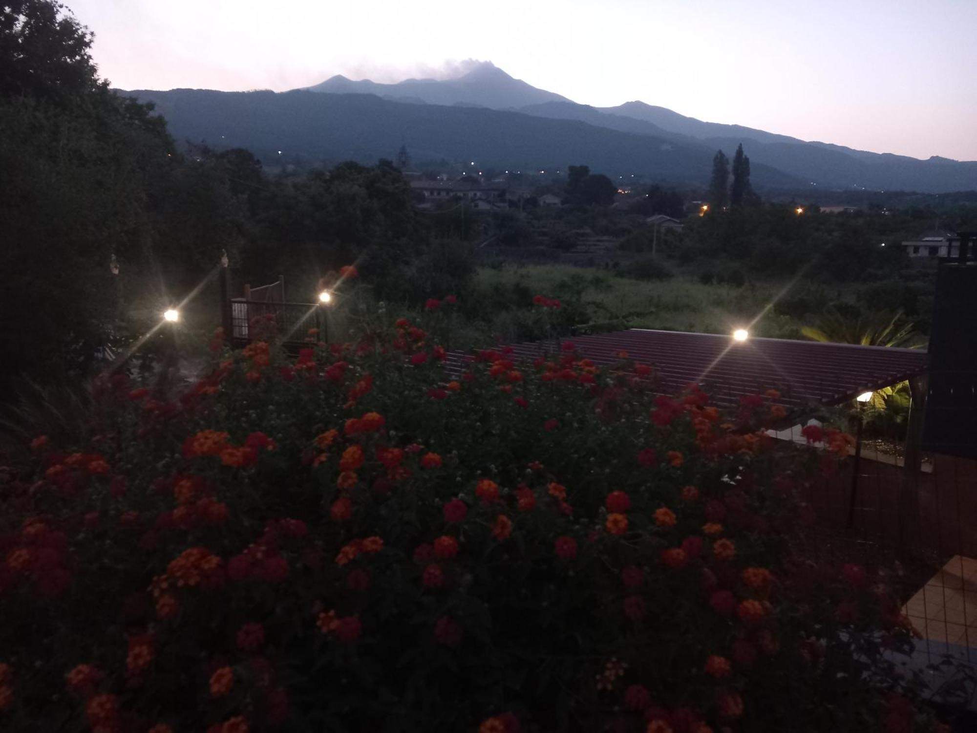 Etna Green House Villa Zafferana Etnea Dış mekan fotoğraf