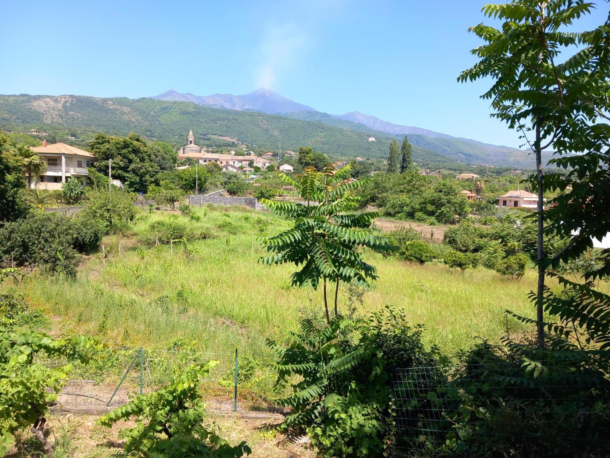 Etna Green House Villa Zafferana Etnea Dış mekan fotoğraf