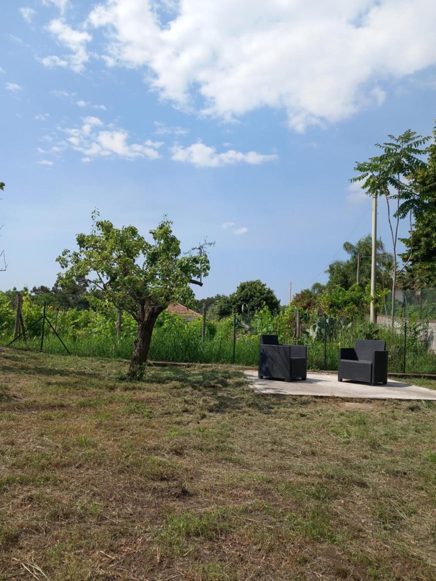 Etna Green House Villa Zafferana Etnea Dış mekan fotoğraf